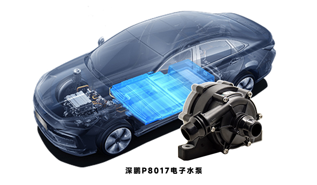 P8017汽车电子买大小球（中国）官方网站.jpg